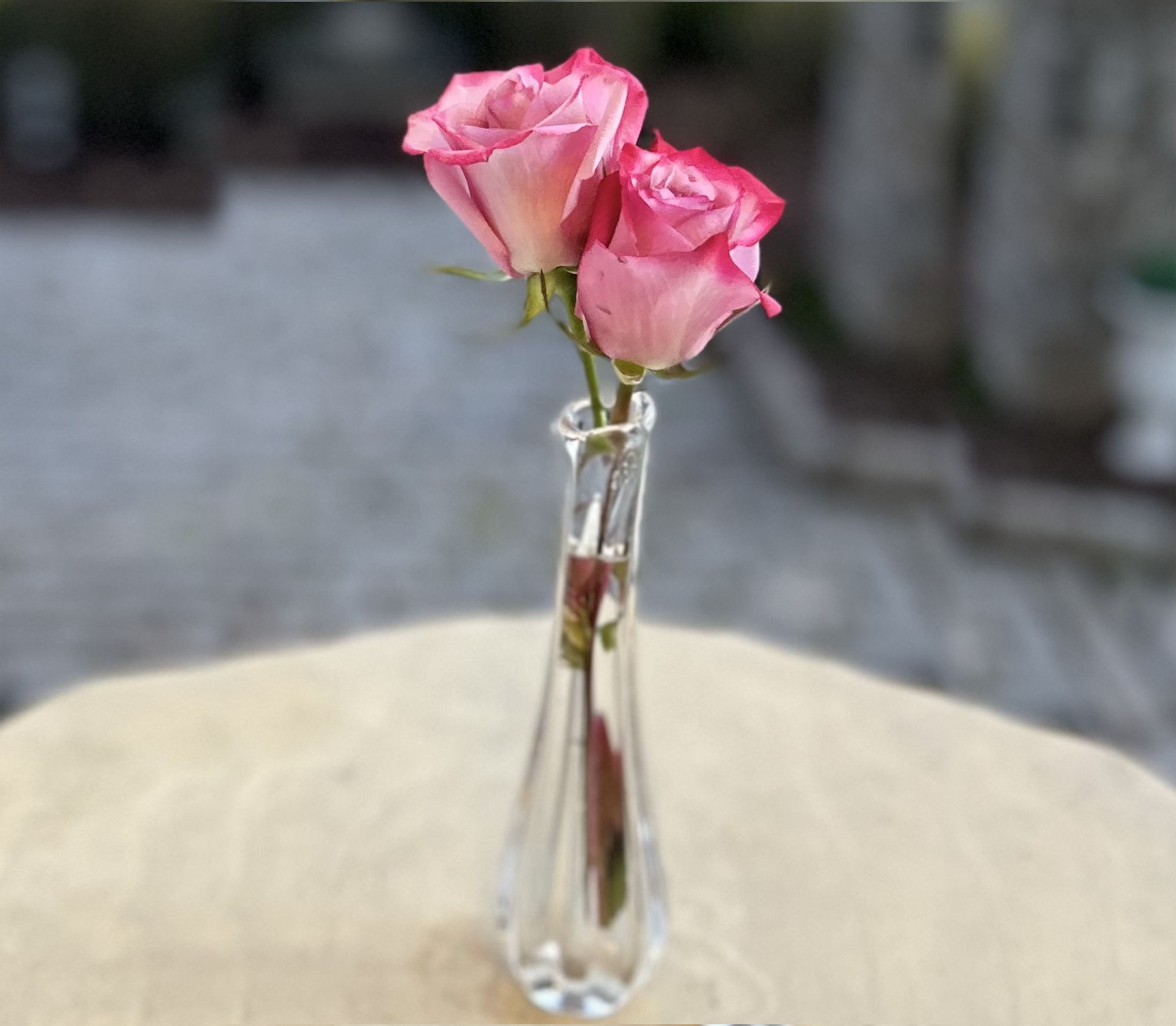 bud-vase-double.png