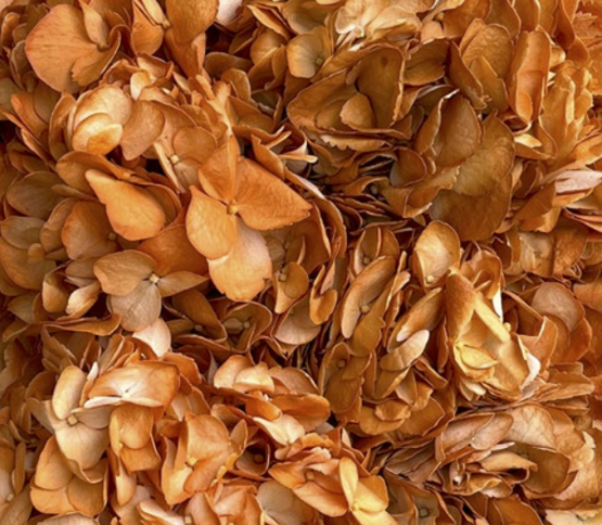 copper-orange.jpg
