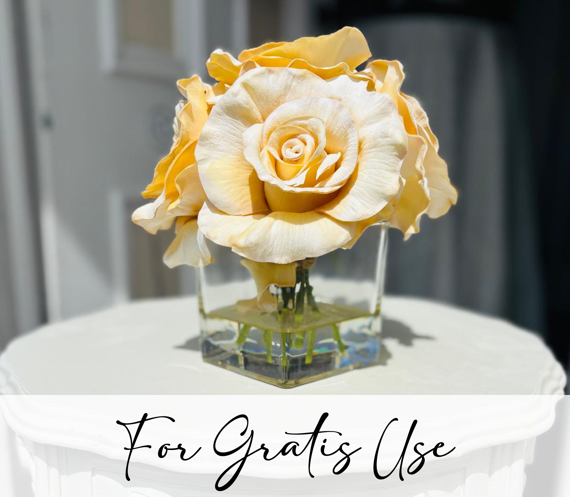 faux-ivory-gratis.jpg