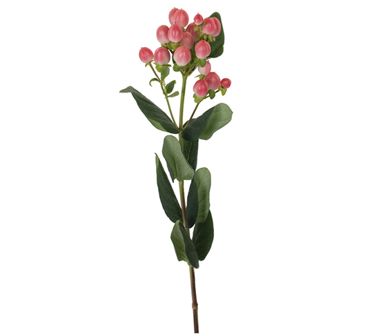 pink-berries.jpg