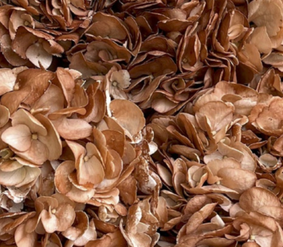 rusty-brown.jpg