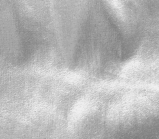 tissue-lame-silver.png