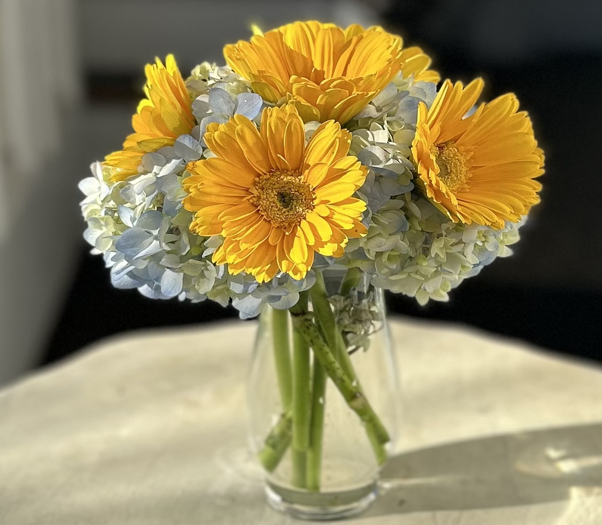 yellow-one.png